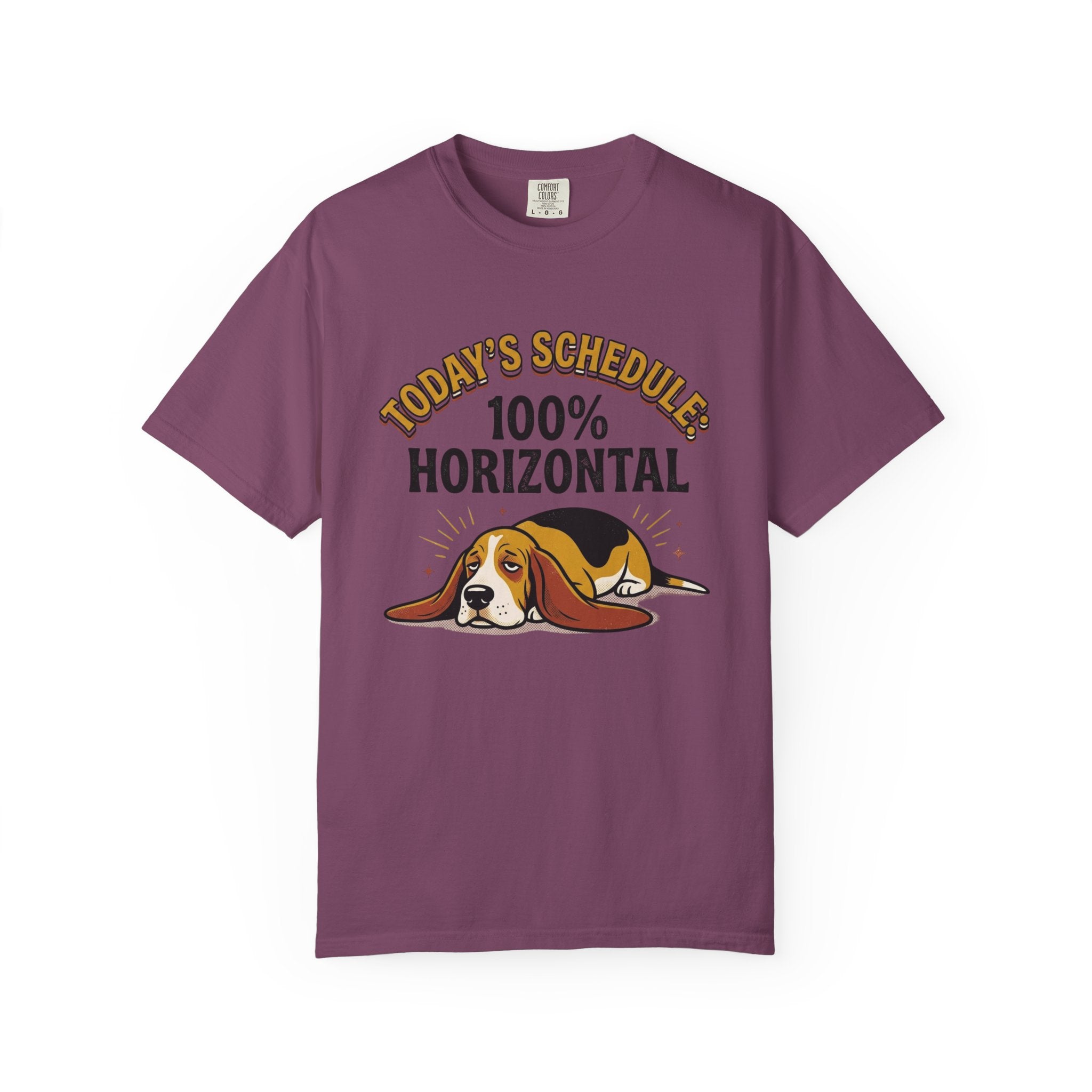 Todays Schedule T-Shirt