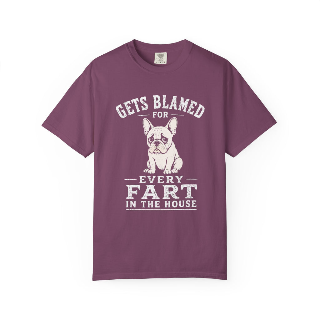 Blamed For Fart T-Shirt