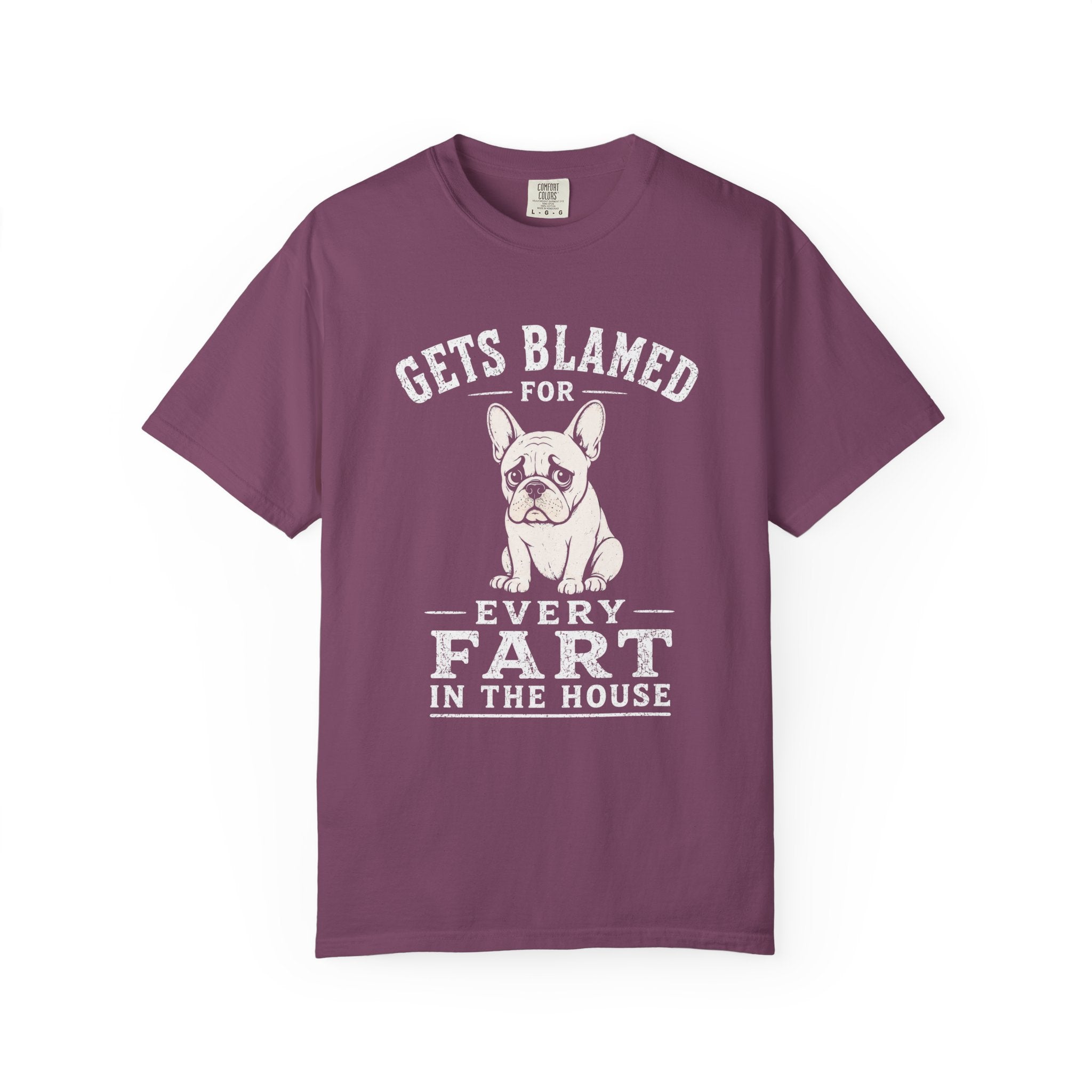 Blamed For Fart T-Shirt