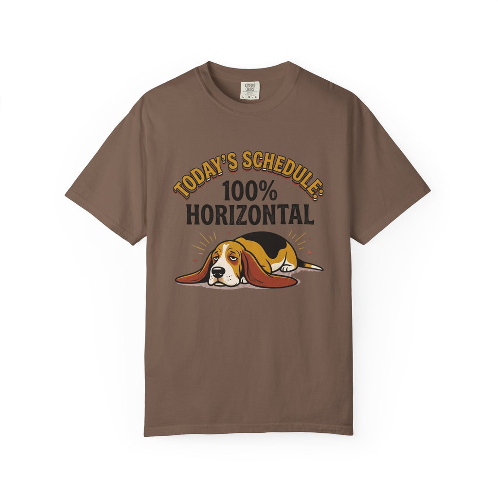 Todays Schedule T-Shirt