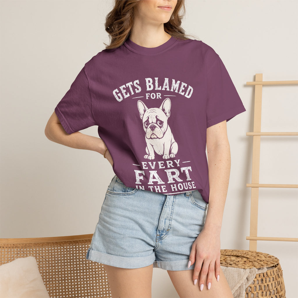 Blamed For Fart T-Shirt