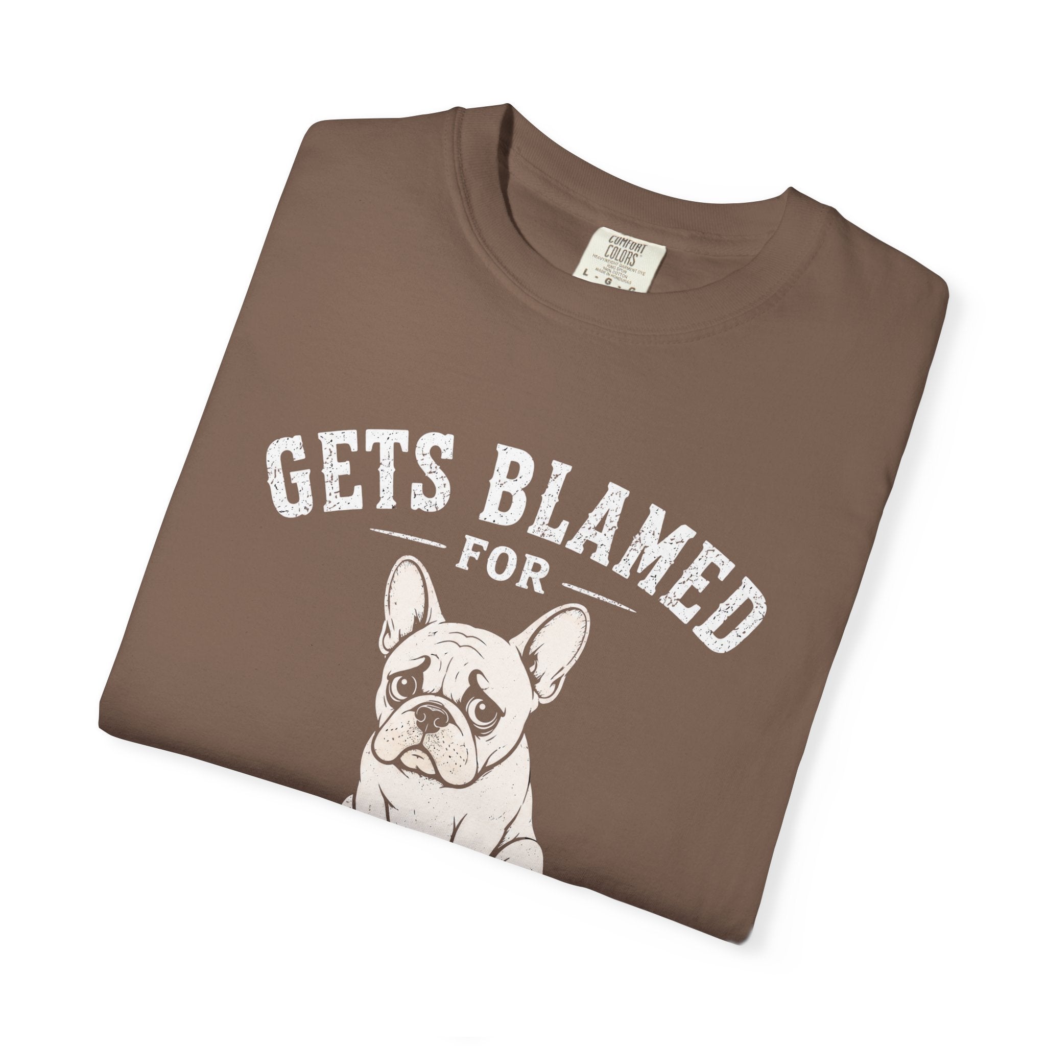 Blamed For Fart T-Shirt