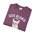 Blamed For Fart T-Shirt