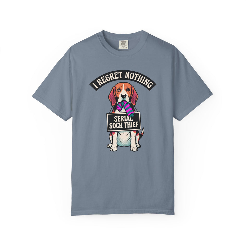 Serial Sock Thief T-Shirt