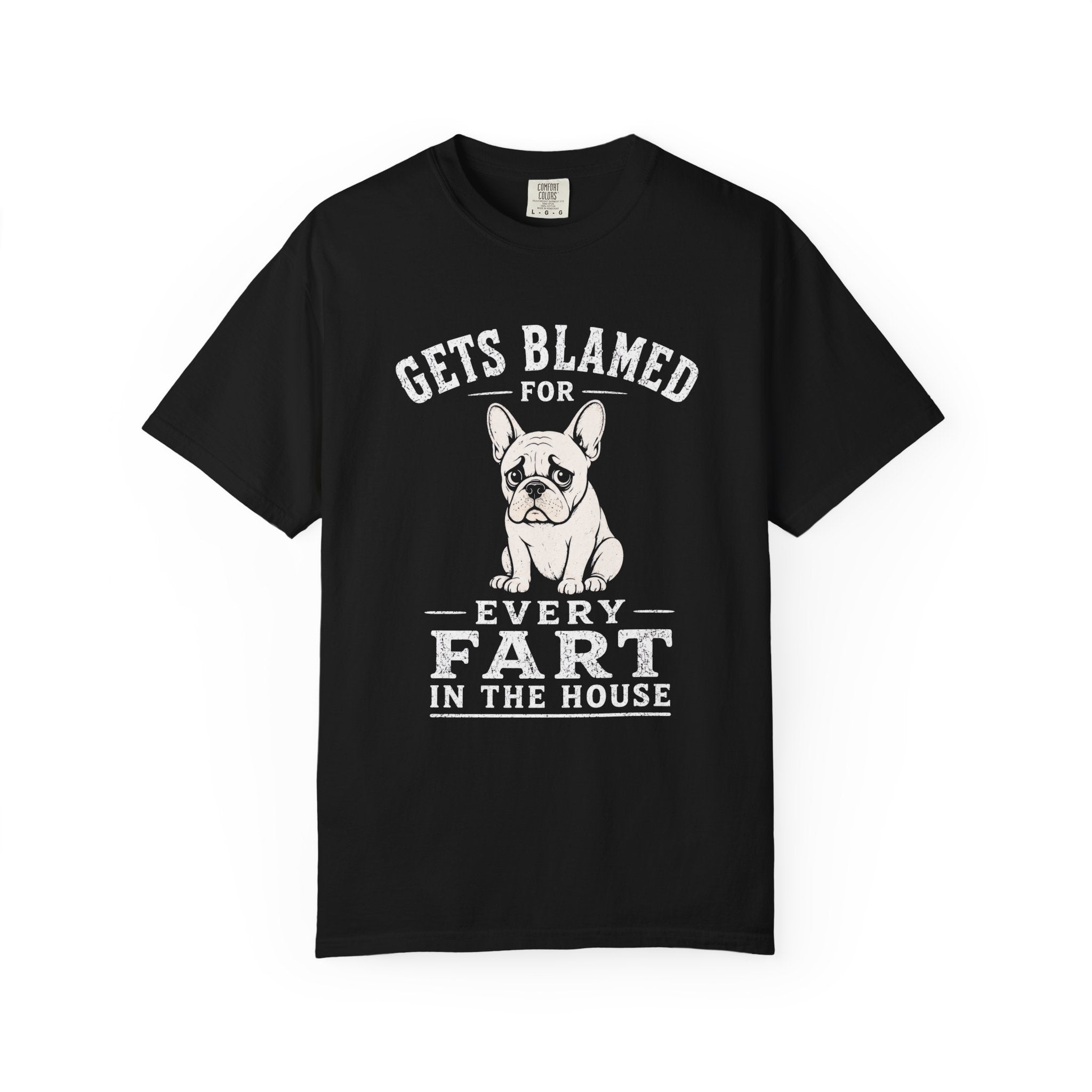 Blamed For Fart T-Shirt