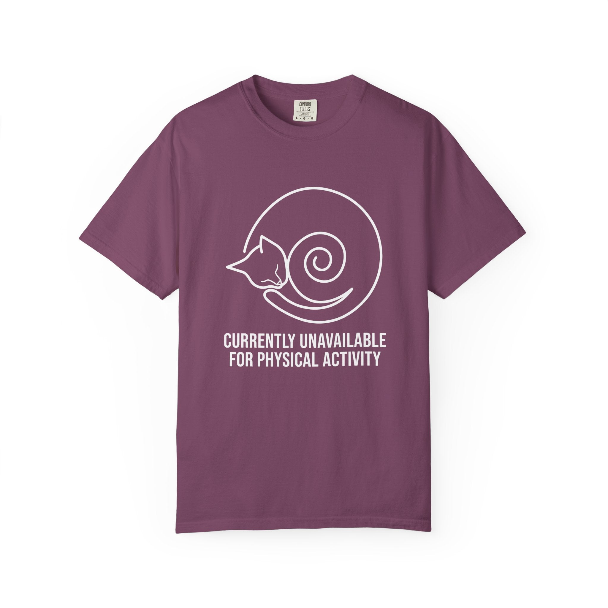 Currently Unavailable T-Shirt