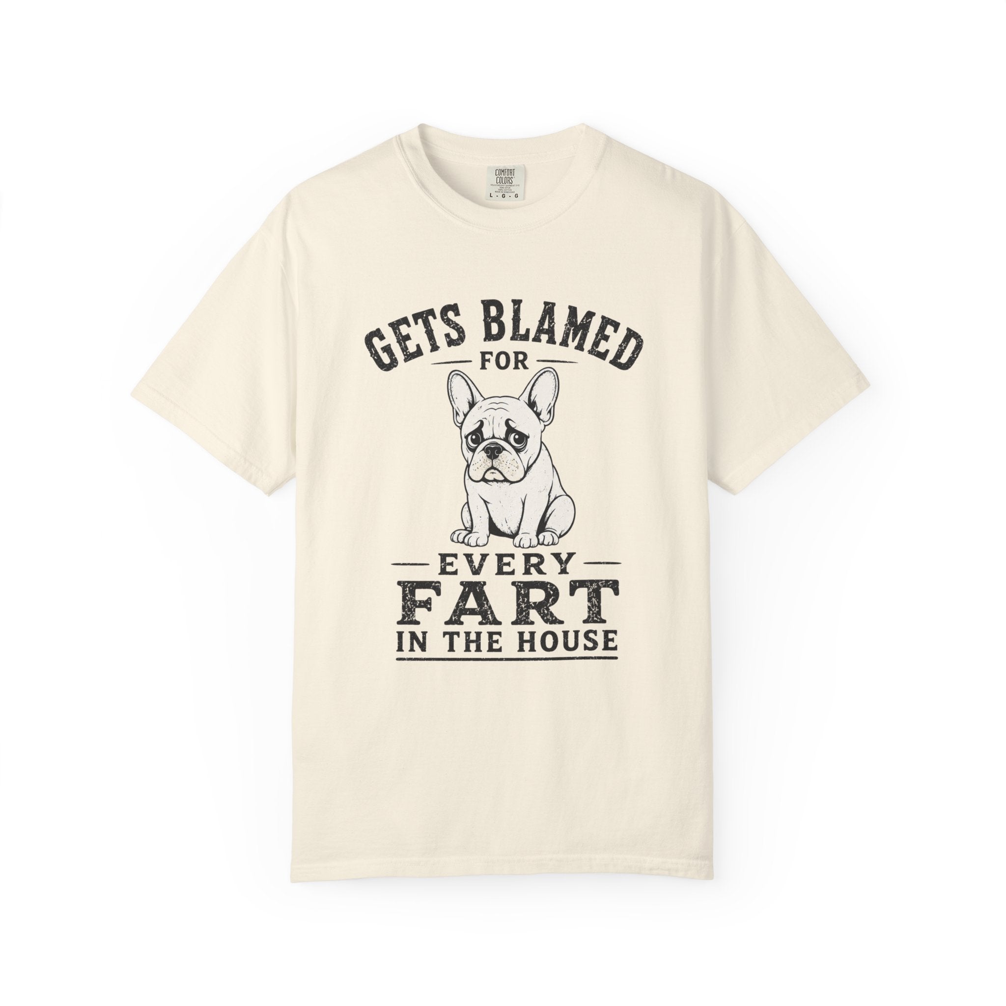 Blamed For Fart T-Shirt
