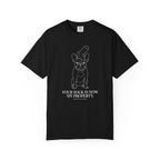 Property Sock T-Shirt