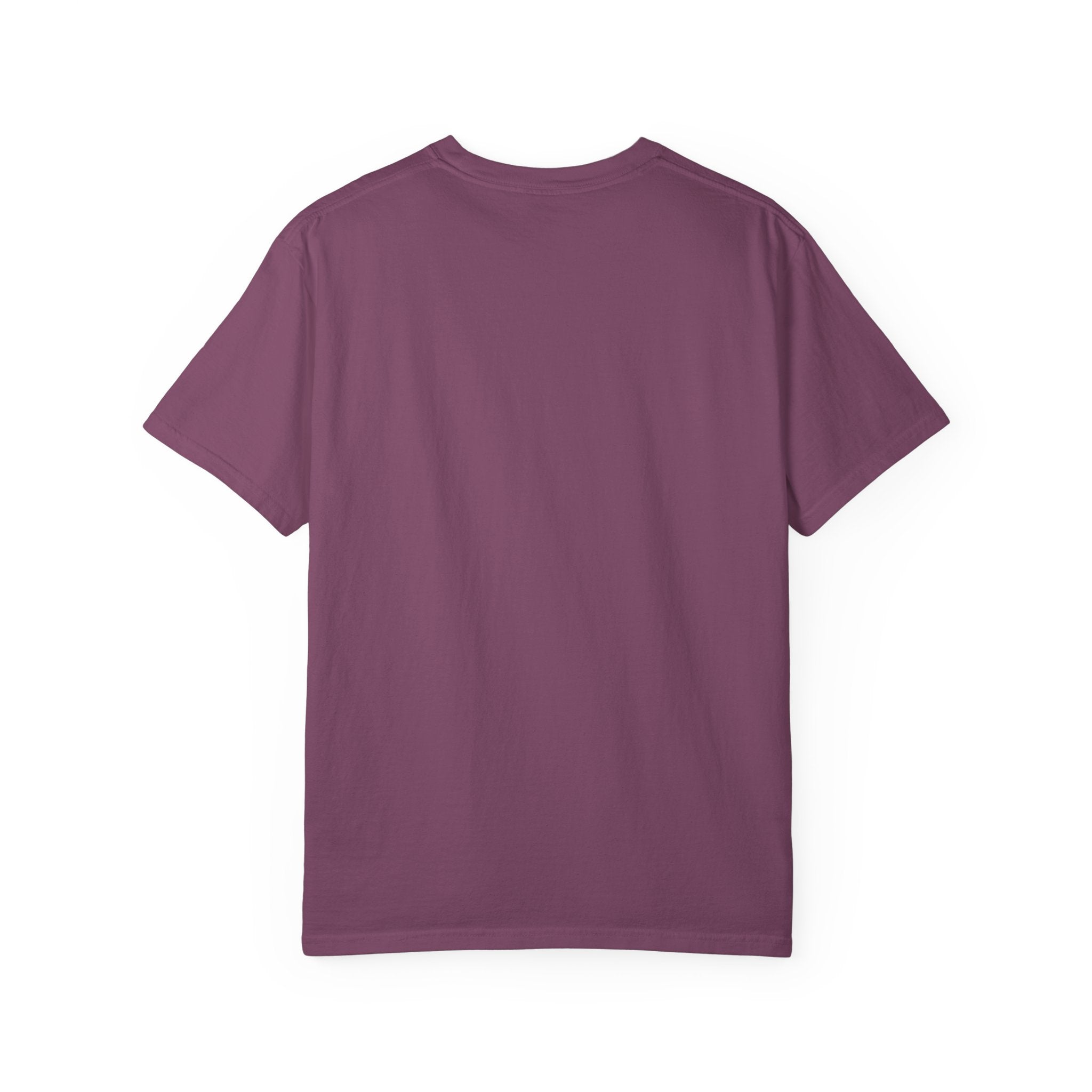 Blamed For Fart T-Shirt