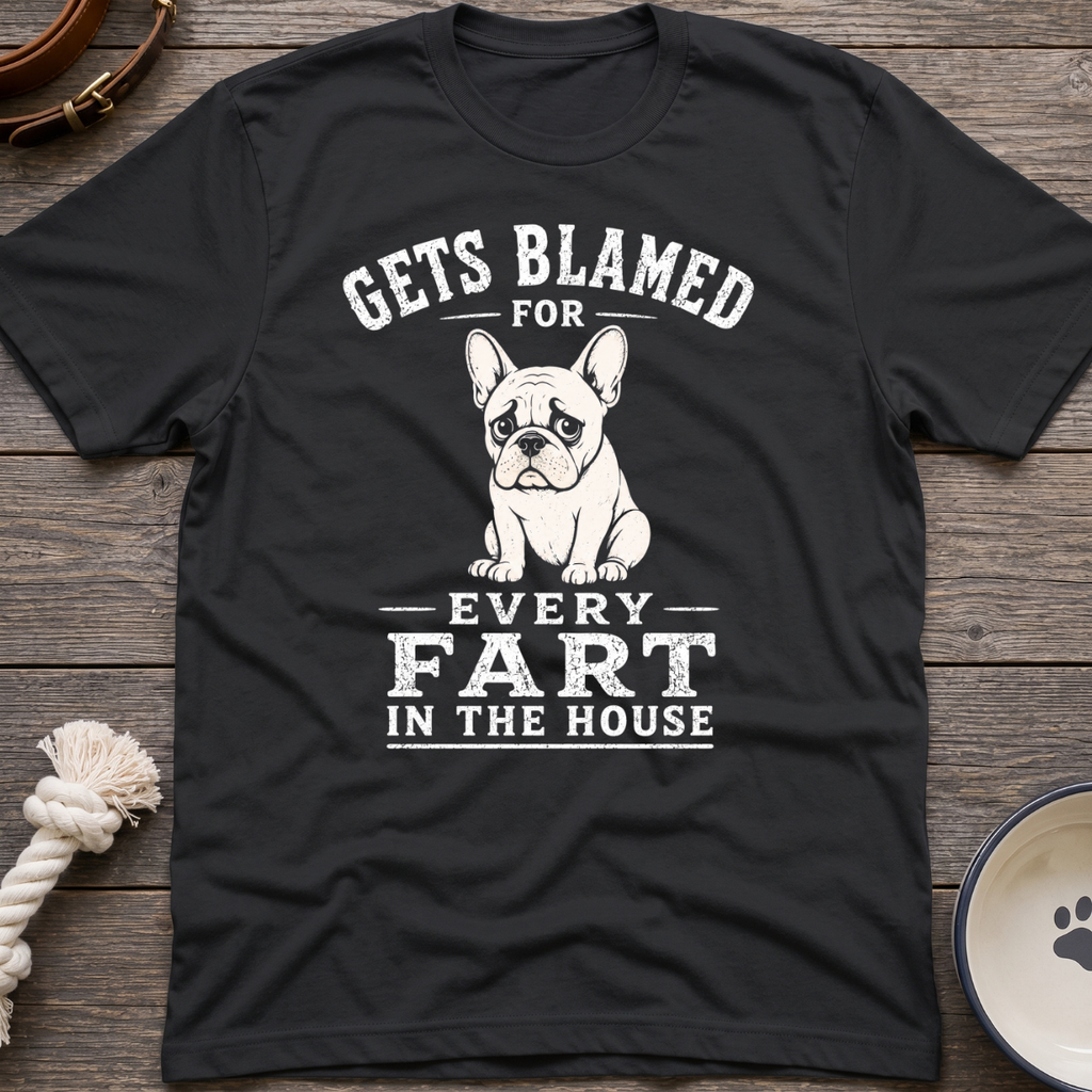 Blamed For Fart T-Shirt