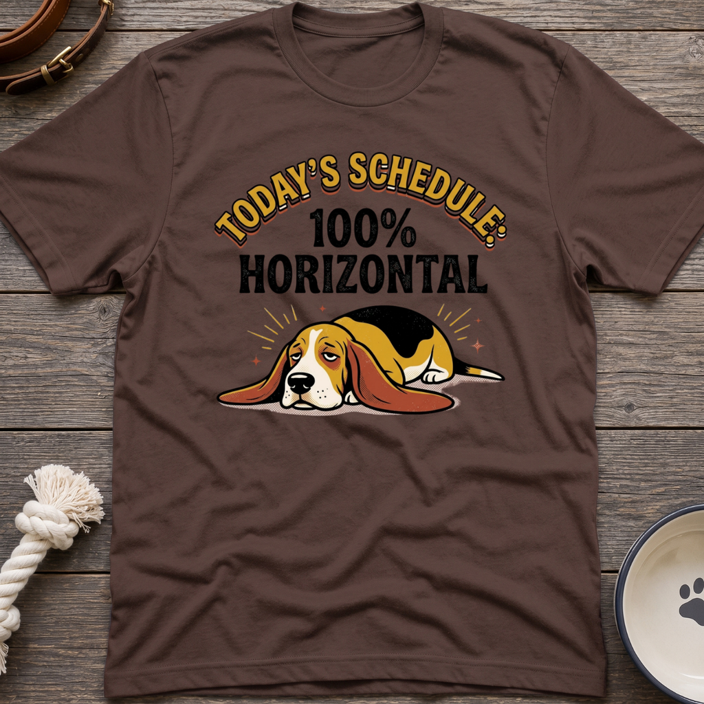 Todays Schedule T-Shirt